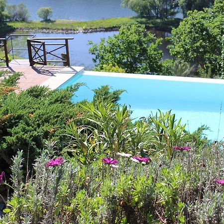 Willa "Bouca Drigues" Casa Antiga De Pedra Com Piscina E Vista Rio Amarante Zewnętrze zdjęcie