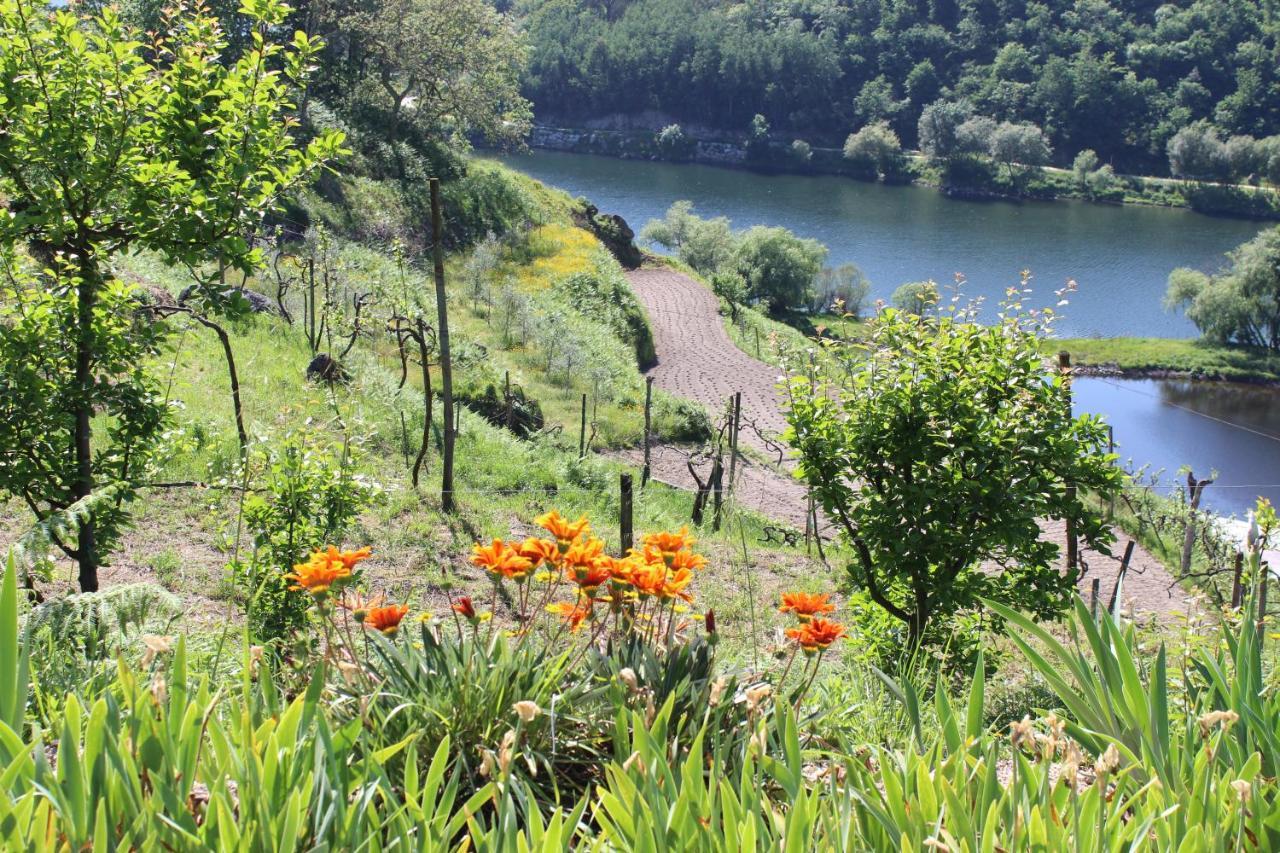 Willa "Bouca Drigues" Casa Antiga De Pedra Com Piscina E Vista Rio Amarante Zewnętrze zdjęcie