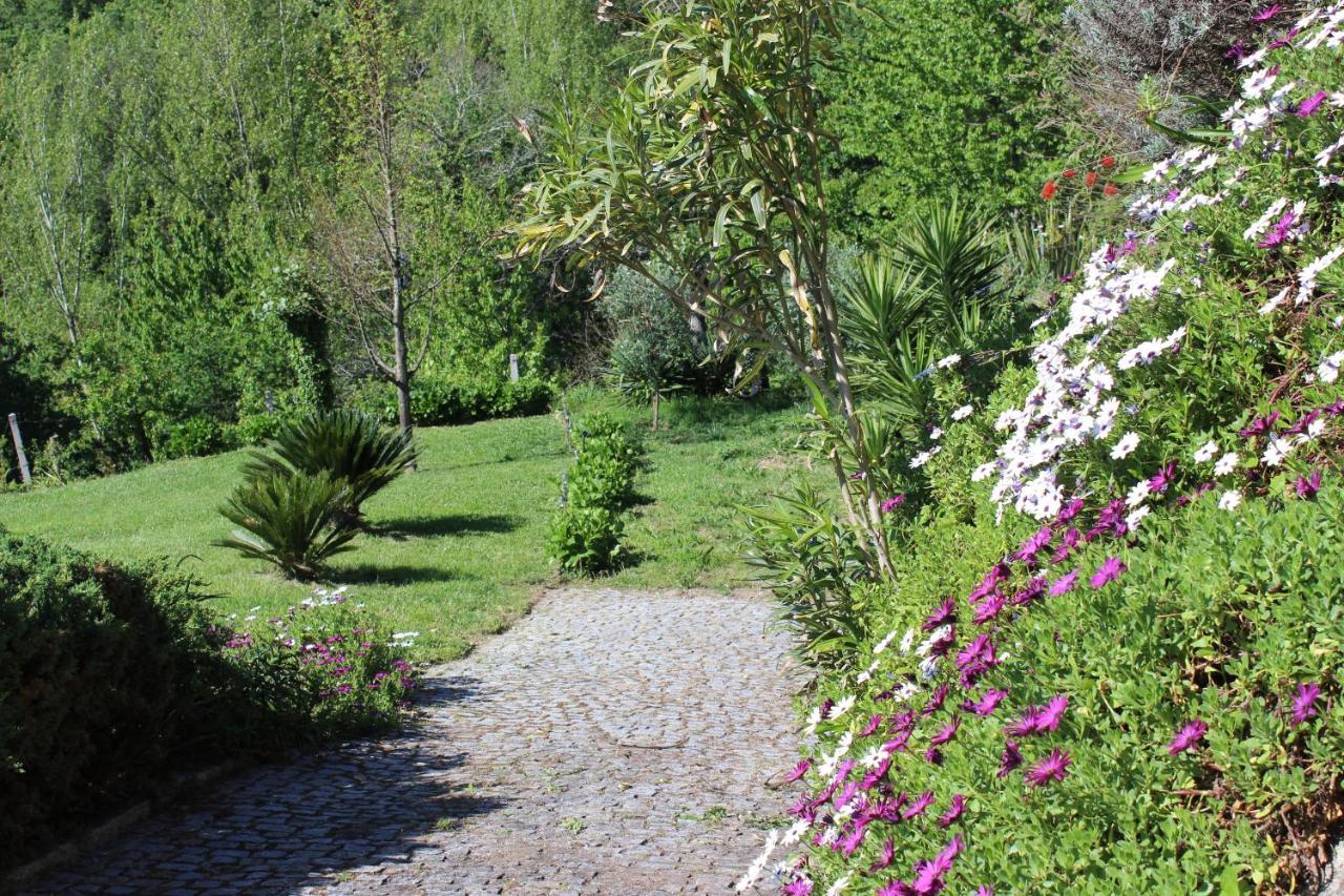 Willa "Bouca Drigues" Casa Antiga De Pedra Com Piscina E Vista Rio Amarante Zewnętrze zdjęcie