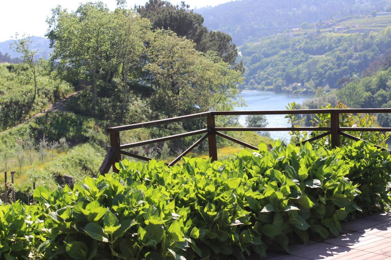 Willa "Bouca Drigues" Casa Antiga De Pedra Com Piscina E Vista Rio Amarante Zewnętrze zdjęcie