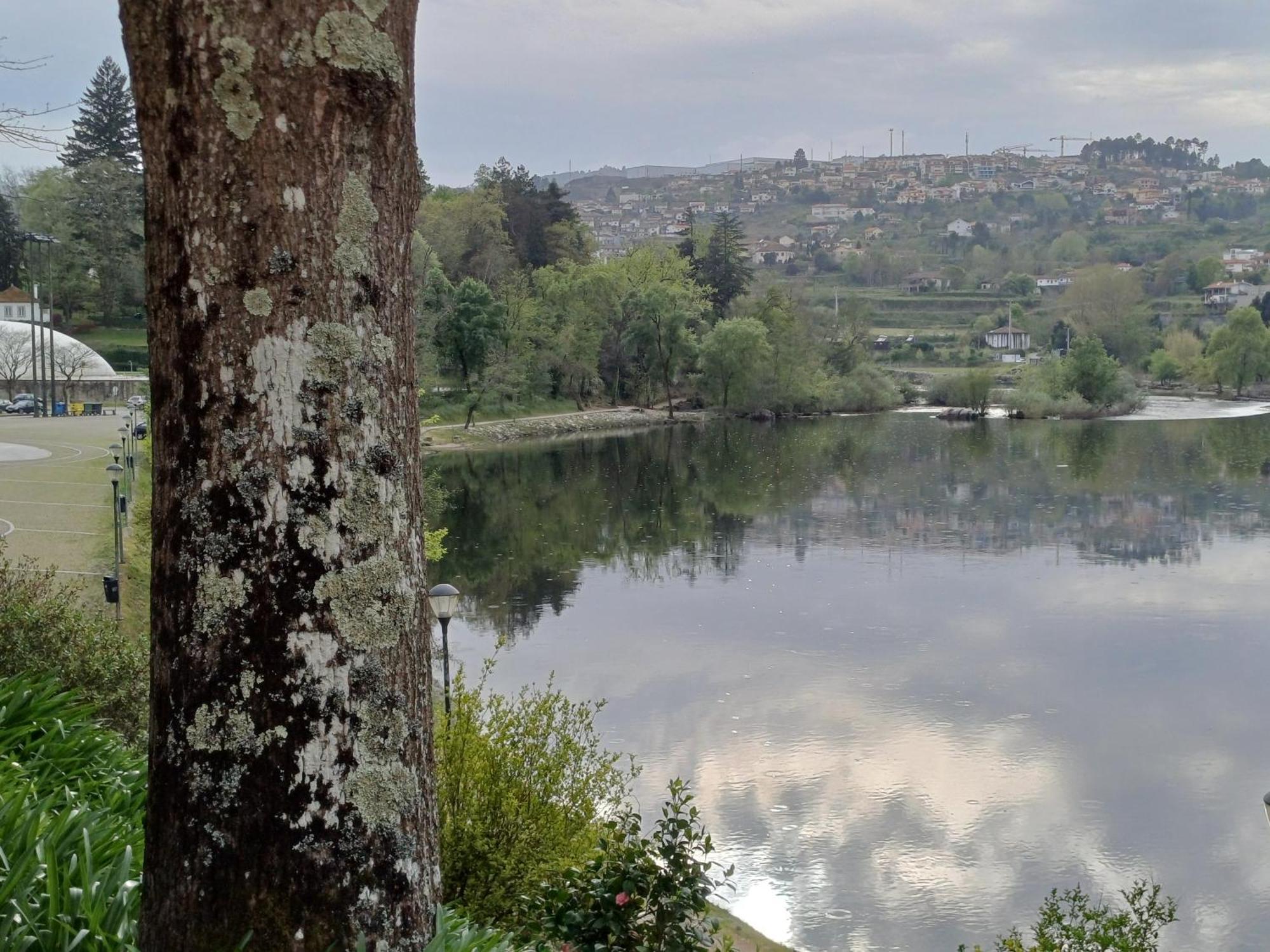Willa "Bouca Drigues" Casa Antiga De Pedra Com Piscina E Vista Rio Amarante Zewnętrze zdjęcie