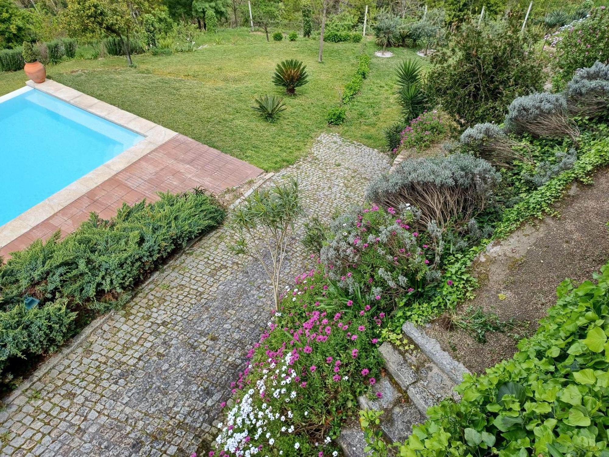 Willa "Bouca Drigues" Casa Antiga De Pedra Com Piscina E Vista Rio Amarante Zewnętrze zdjęcie